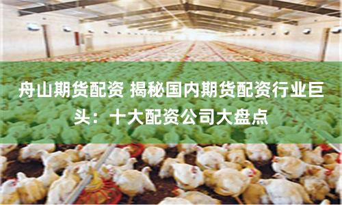 舟山期货配资 揭秘国内期货配资行业巨头：十大配资公司大盘点