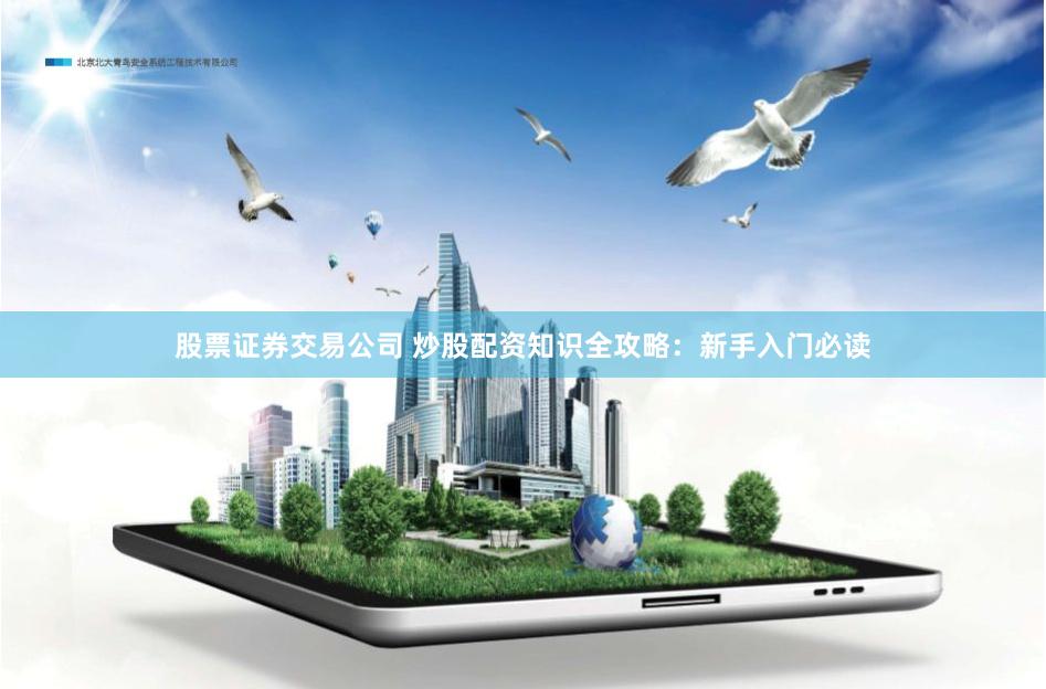 股票证券交易公司 炒股配资知识全攻略：新手入门必读