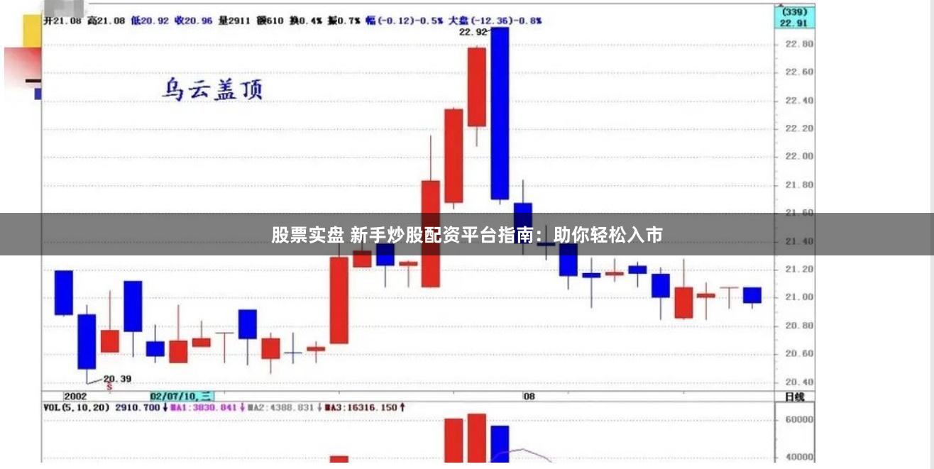 股票实盘 新手炒股配资平台指南：助你轻松入市