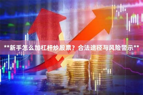 **新手怎么加杠杆炒股票？合法途径与风险警示**